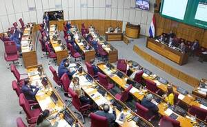 Senado aprobó el paquete de leyes económicas presentado por Peña