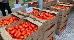 Menú sin carne y ahora también sin tomate