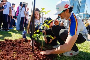 Pilotos mundiales y niños de Itapúa cierran campaña ambiental del WRC ueno Rally del Paraguay con plantación de árboles nativos