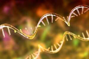 Aminoácidos y ARN: ¿cómo se gestó la relación que dio inicio a la vida en la Tierra? - Ciencia - ABC Color