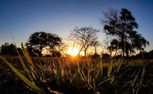 Anuncian retorno del ambiente caluroso