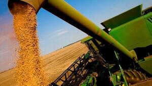 Agroindustria paraguaya procesa 2 millones de toneladas de soja