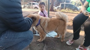 Encarnación se suma a la "Castratón 2025" por el bienestar animal