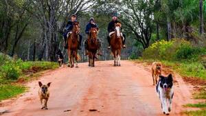 Atajá tu perro, señora: Piden resguardar a los animales por el Rally en Itapúa