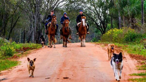 Atajá tu perro, señora: Piden resguardar a los animales por el Rally en Itapúa