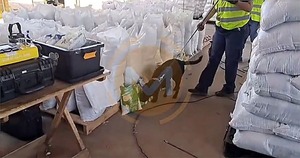 Cae cargamento de cocaína en puerto de Villeta camuflado en granos con destino a Europa