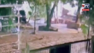 Fallece joven baleado al intentar defender a su madre de un ataque