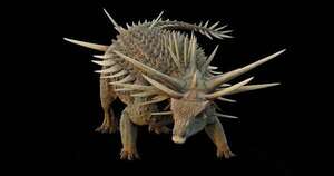 Diario HOY | Científicos descubren un “extraño” dinosaurio cubierto de una armadura de púas