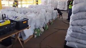 Popular / Encuentran varios kilos del "purete" en cargamento de porotos