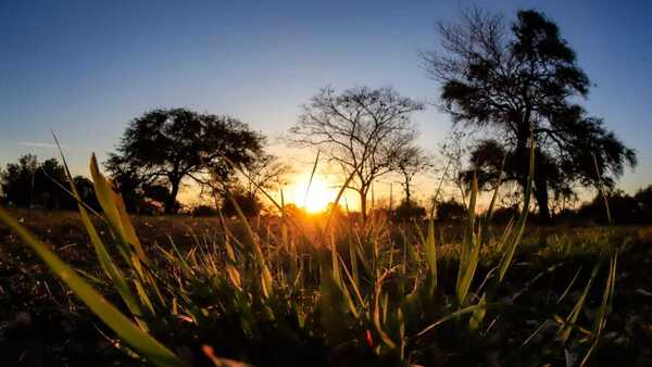 Ambiente cálido a caluroso y baja probabilidad de lluvias para este viernes
