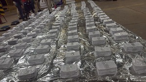 Incautan medio tonelada de cocaína oculta en granos con destino a Europa - ADN Digital