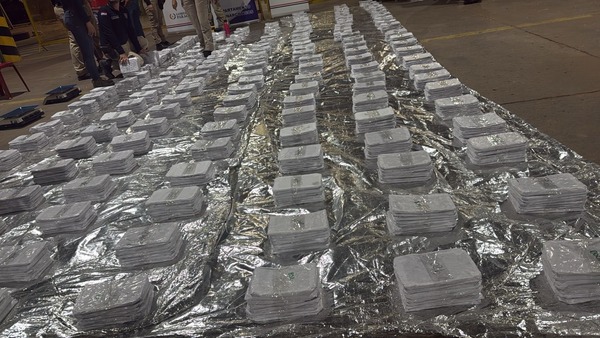 Incautan medio tonelada de cocaína oculta en granos con destino a Europa - ADN Digital