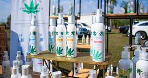 Potencial de negocios que puede triplicarse con el cannabis