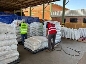 Detectaron cocaína con destino a Europa en Puerto Villeta - Portal Digital Cáritas Universidad Católica