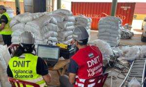 Develan método creativo utilizado para engañar a canes y escáneres en cargamento de Villeta - OviedoPress