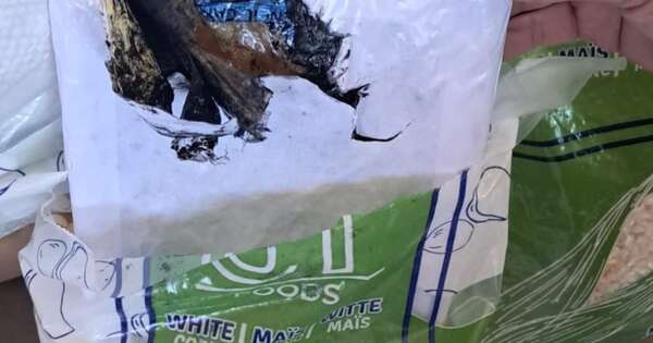 La Nación / Incautación de droga en Villeta se dio gracias a un trabajo conjunto de seguridad