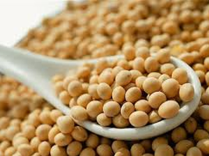 Carne y soja lideran exportaciones manufactureras