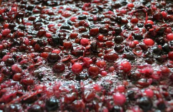 Guía práctica: cómo macerar frutas para tragos caseros con sabor  - Gastronomía - ABC Color