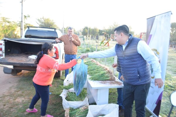 Municipalidad de La Colmena repartió plantines de cebolla