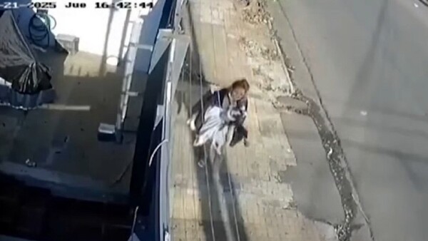 Un hombre clama para que una mujer le devuelva a su mascota: "Es como mi hija", dice