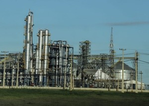 Crece la industrialización de soja: oleaginosas alcanzan utilización del 80% de su capacidad instalada - ADN Digital