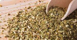 La Nación / Exportaron 20 toneladas de yerba mate a Europa