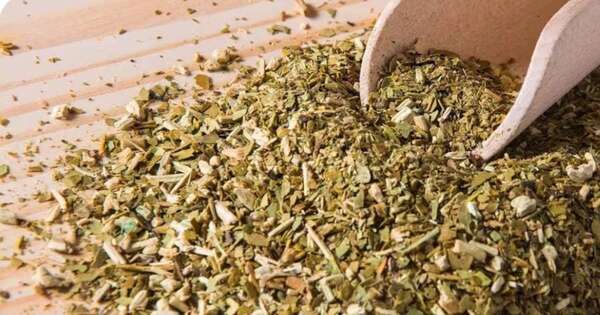 La Nación / Exportaron 20 toneladas de yerba mate a Europa