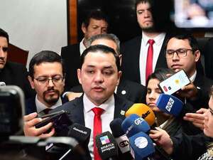 Con Bello volvieron todos los recaudadores de Nenecho, dice Espínola - Política - ABC Color