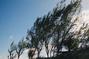¡Atención! Alerta por fuertes ráfagas de viento este sábado - Clima - ABC Color