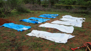 Frenan exhumaciones en presunto sitio de secta cristiana en Kenia tras hallar 37 cuerpos