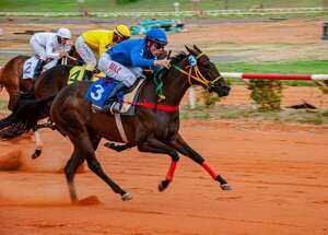 Turf: Lindos premios especiales en el óvalo asunceno - Polideportivo - ABC Color