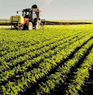 Soja: lanzamiento campaña 2025/2026 - ABC Rural - ABC Color