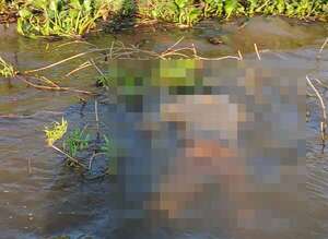 Concepción: encuentran cuerpo de tripulante desaparecido en aguas del río Paraguay - Policiales - ABC Color