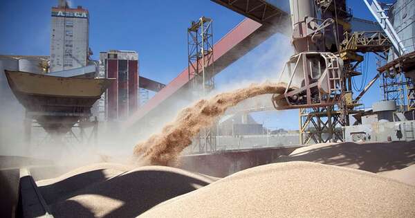 La Nación / Capacidad para procesar soja llega al 80 % de utilización al cierre de junio