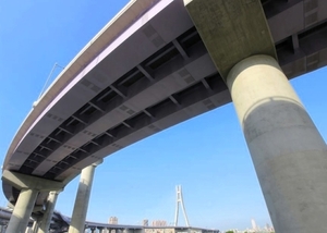MOPC defiende transparencia del proyecto de autopista elevada