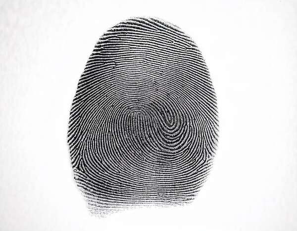 Día Mundial de la Dactiloscopía: de la ciencia forense al desbloqueo del celular - Tecnología - ABC Color