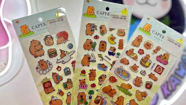 De la ternura a la preocupación: stickers de capibara con mensajes fuertes preocupa a papás
