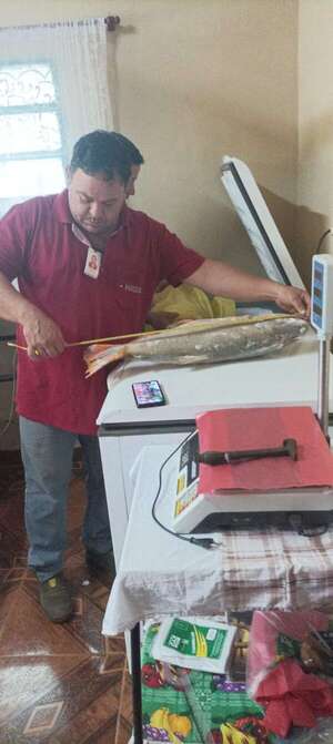 Veda de pesca 2025 sería de 49 días en aguas compartidas con Argentina - Nacionales - ABC Color