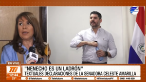 ''Nenecho es un ladrón'', textuales declaraciones de la senadora Celeste Amarilla