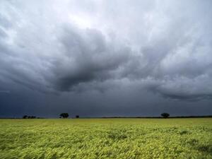 En el campo esperan una primavera con "lluvias normales" y posible aparición de La Niña