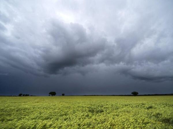 En el campo esperan una primavera con "lluvias normales" y posible aparición de La Niña