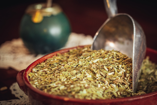 Pequeños productores concretan exportación de 20.000 kilos de yerba mate orgánica a Europa - MarketData