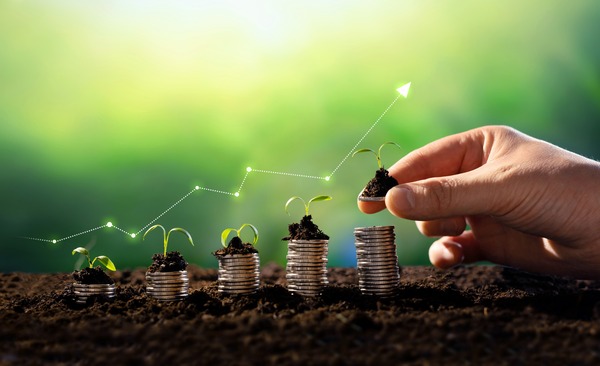 Bioeconomía paraguaya: Madera, textiles y bioenergía como oportunidades de inversión, según el Banco Mundial - MarketData