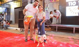 Desfile de Mascotas se vivirá este domingo en la Plaza San Roque - OviedoPress