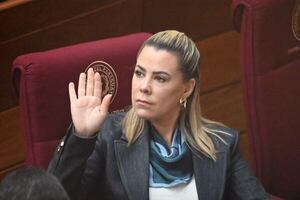 Lizarella pide informes al TSJE sobre financiamiento de campaña de Raúl Benítez - Política - ABC Color