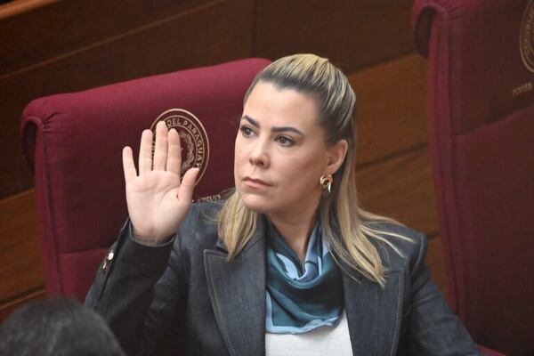 Lizarella pide informes al TSJE sobre financiamiento de campaña de Raúl Benítez - Política - ABC Color