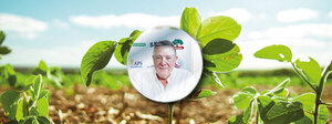 Soja paraguaya en 2025/26: Rendimientos optimistas frente a un panorama internacional volátil - MarketData