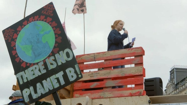 "Animal" se proyecta en la Alianza Francesa