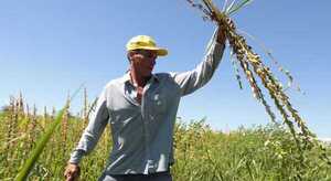 Yacyretá destinará más G. 16.400 millones para asistir a agricultores de Misiones