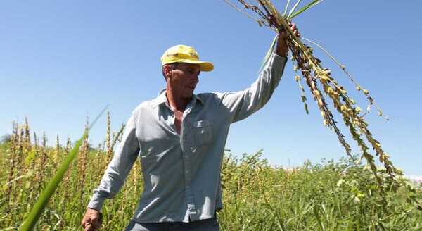 Yacyretá destinará más G. 16.400 millones para asistir a agricultores de Misiones